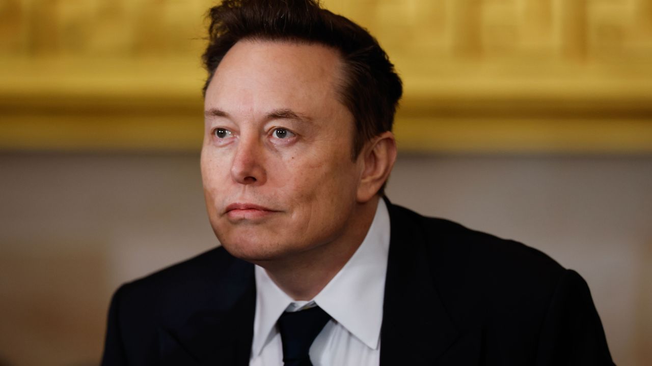 Anche Musk contro Zelensky