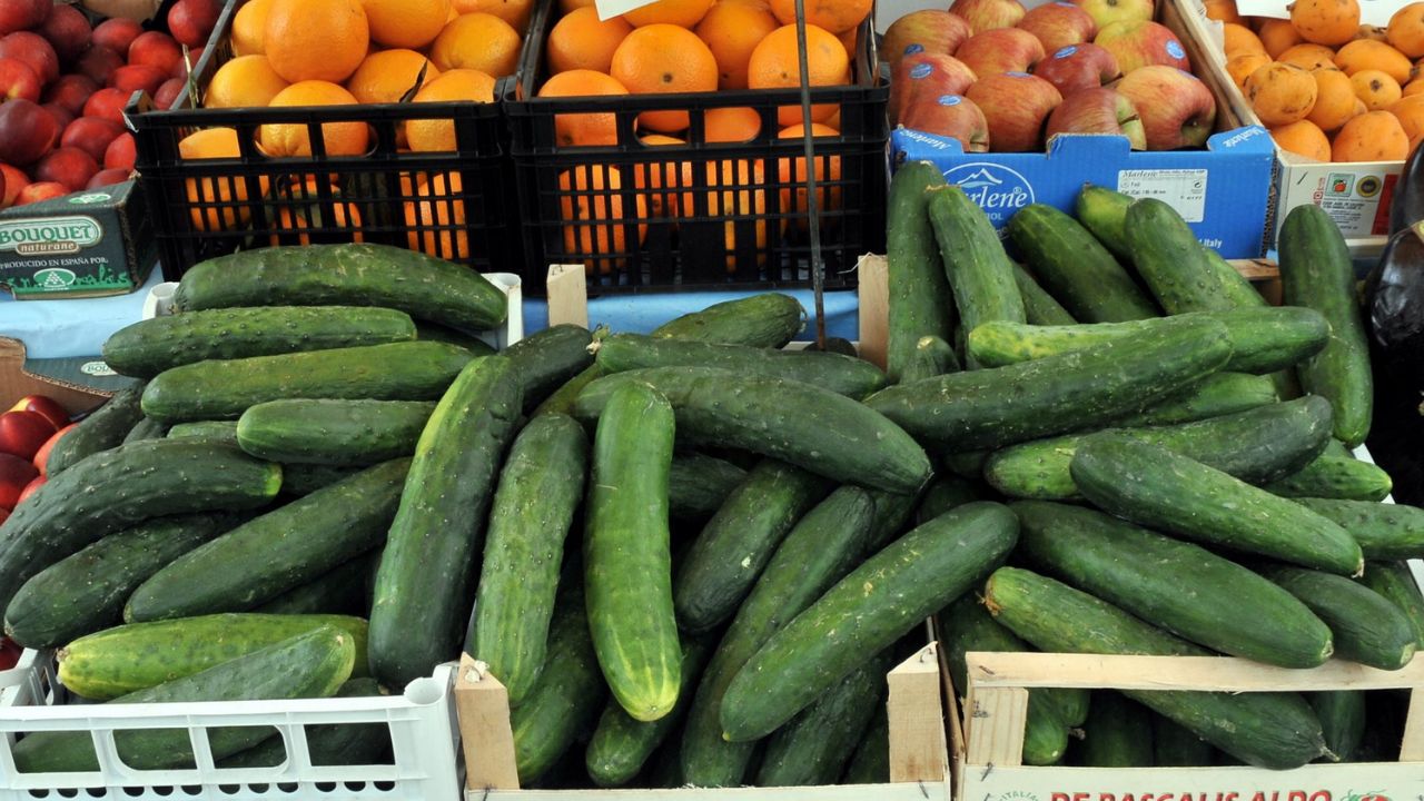 Agricoltura indoor, le nuove sfide della sostenibilità