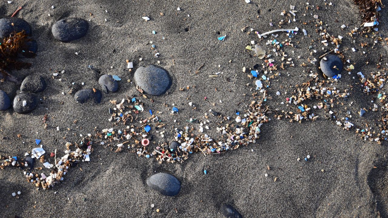 Microplastiche minacciano la fertilità delle donne